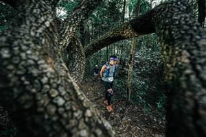 BIB: 
                            <button type="button" onclick="openModal(25392039)" class="btn btn-primary btn-sm float-right btn-popup" data-toggle="modal" data-target=".modal-high-quality">
                        <i class="fas fa-shopping-cart"></i> Add to Cart
                    </button>
                                            <button type="button" onclick="isThisMe(25392039, true)" class="btn btn-success btn-sm float-right btn-popup btn-isme hidden" data-toggle="tooltip" data-placement="bottom" title="นี่คือรูปของคุณใช่ไหม คลิกที่นี่เพื่อเอาเข้าอัลบั้ม">
                        <i class="fas fa-plus"></i> Add to album
                    </button>
                    <button type="button" onclick="isThisMe(25392039, false)" class="btn btn-warning btn-sm float-right btn-popup btn-isnotme hidden">
                        <i class="fas fa-ban"></i> Remove from album
                    </button>